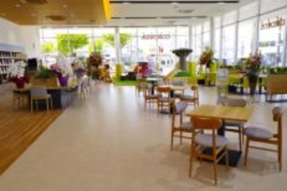 国産檜の木製滑り台ジャングルジム型の画像07